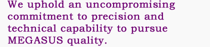 We uphold an uncompromising commitment to precision and technical capability to pursue MEGASUS quality.