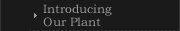 Introducing Our Plant