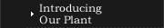 Introducing Our Plant