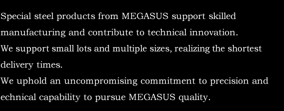 Special steel products from MEGASUS support skilled manufacturing and contribute to technical innovation. We support small lots and multiple sizes, realizing the shortest delivery times. We uphold an uncompromising commitment to precision and technical capability to pursue MEGASUS quality.